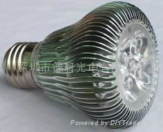 High Power LED PAR Bulb 2