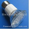 LED Bulb