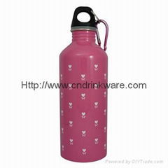 Stainless Steel Water Bottle