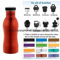 Stainless Steel Drinking Bottle