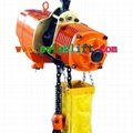 DHL wire-rope electric hoist 2
