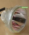 NEW Lamp Bulb FOR BenQ Projector PE7800