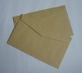kraft paper envelope 2