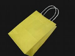 paper hand bag