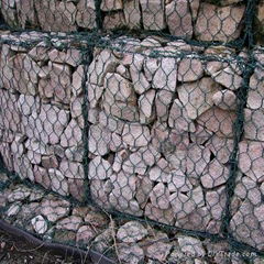 Hexagonal Wire Mesh