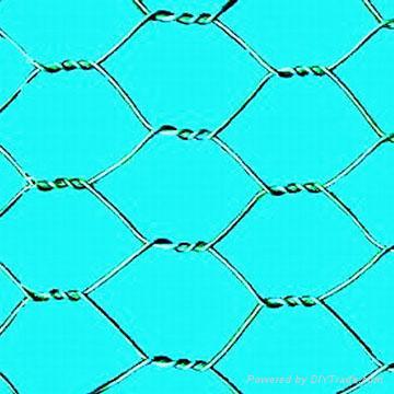 Hexagonal Wire Mesh 2