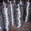 Galvanized Wire 2