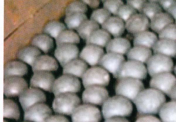 Forged Grinding ball for ball mill