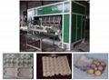 Roller Pulp Moulding Machine 3