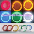 Color Jacket LED Neon 2