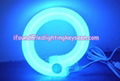 Blue LED Rope Light/ LED Neon-16*26mm/ 10*14mm/ 9*13mm 1