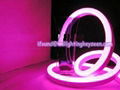 Pink LED Neon-16*26mm/ 10*14mm/ 9*13mm