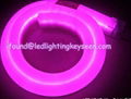 Pink LED Neon-16*26mm/ 10*14mm/ 9*13mm 2