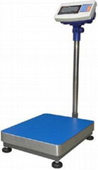 electronic platform scale