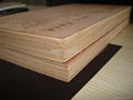plywood 2