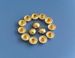 brass button