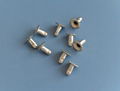 metal rivet 1