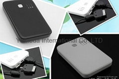 Hot sell Mobile Power Bank for iphone/digital products