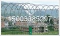 优质低碳钢丝监狱护栏网