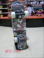 skate board