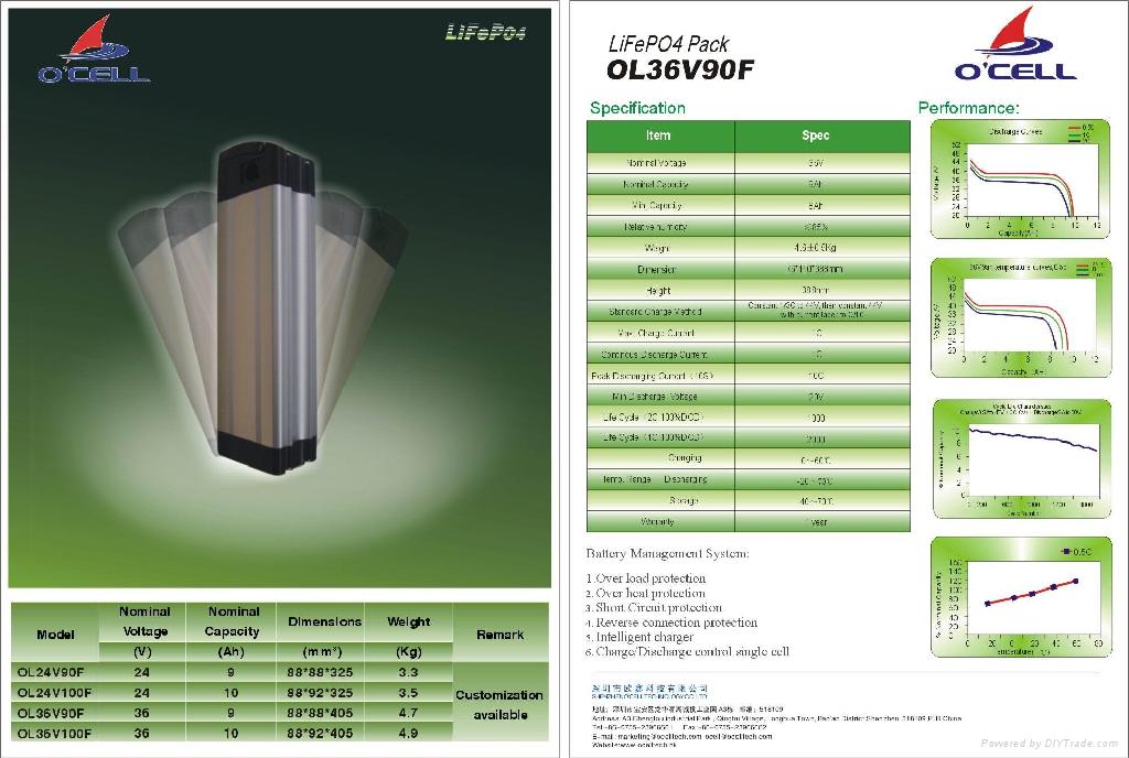 LiFePO4 battery pack for ebike 2