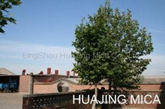 LingShouHuaJing Mica Co.,Ltd.