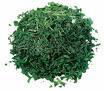 Dehydrated parsley flakes