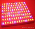 LED grow light 3