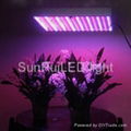 LED grow light 4