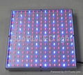 LED grow light 5