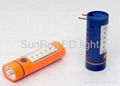 colored LED flashlight 1