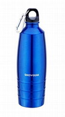 stainless sports bottle