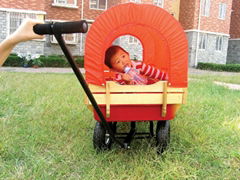 kid's cart
