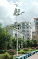 Solar/Wind hybrid generatin street lamp system