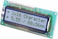 LCD module 2