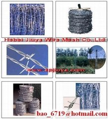 Barbed Iron Wire 