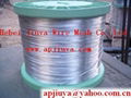 Galvanized Iron Wire 1