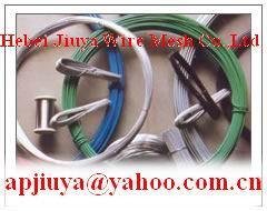PVC Coated Iron Wire 1