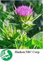 Milk Thistle Extracts