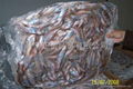 FEMALE  CAPELIN