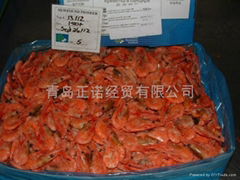 Frozen cold water shrimp