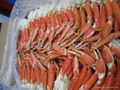 snow crab sections