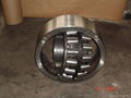 sphrical roller bearing 1