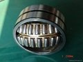 sphrical roller bearing 5
