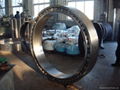 cylindrical roller bearing