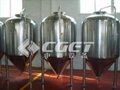 Fermenting sytem-beer brewing