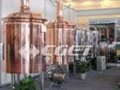 300L hotel beer brewing equipment/brewery equipment/beer plant equipment 1