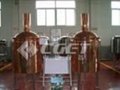 300L hotel beer brewing equipment/brewery equipment/beer plant equipment 2