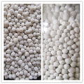 NPK compound fertilizer