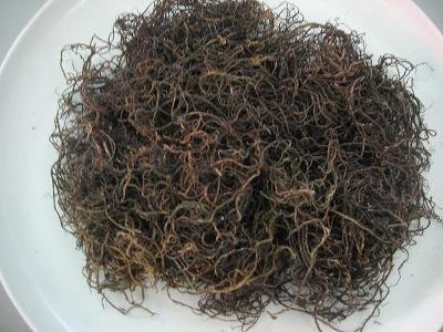 Dried Seaweed - Gracialria Spp 2